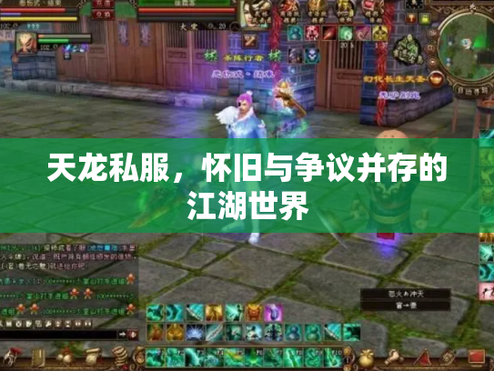 天龙私服，怀旧与争议并存的江湖世界