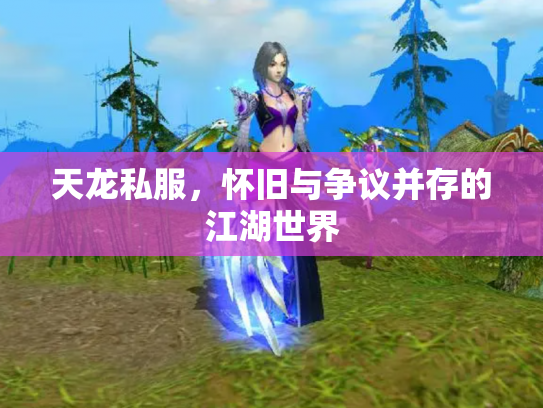 天龙私服，怀旧与争议并存的江湖世界