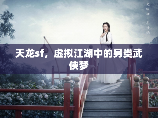 天龙sf，虚拟江湖中的另类武侠梦