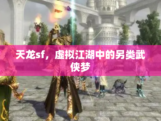 天龙sf，虚拟江湖中的另类武侠梦