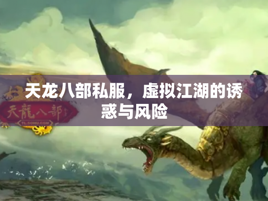 天龙八部私服，虚拟江湖的诱惑与风险