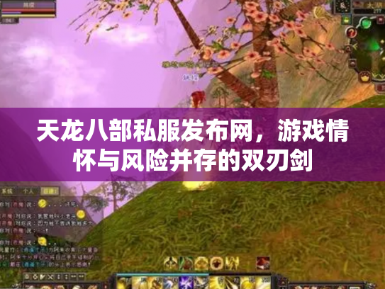 天龙八部私服发布网，游戏情怀与风险并存的双刃剑