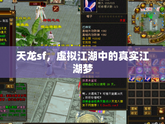 天龙sf，虚拟江湖中的真实江湖梦