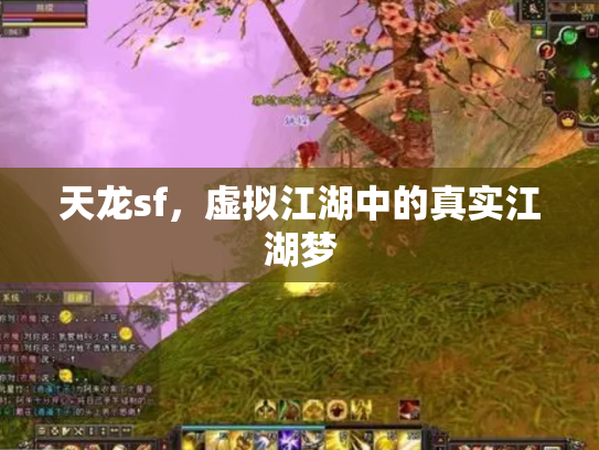 天龙sf，虚拟江湖中的真实江湖梦