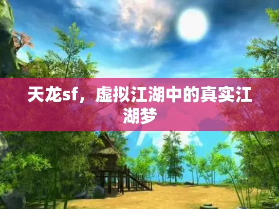 天龙sf，虚拟江湖中的真实江湖梦