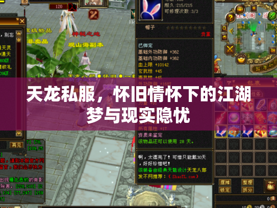 天龙私服，怀旧情怀下的江湖梦与现实隐忧