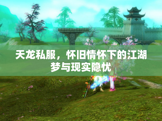 天龙私服，怀旧情怀下的江湖梦与现实隐忧