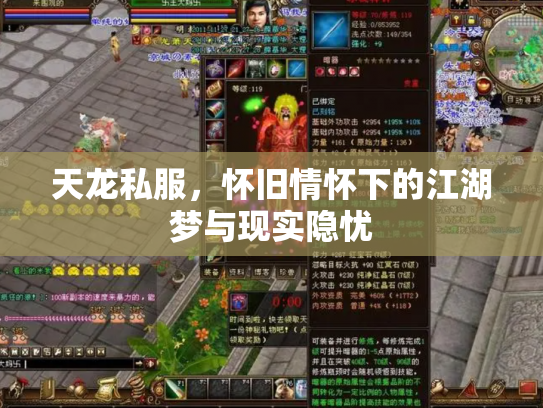 天龙私服，怀旧情怀下的江湖梦与现实隐忧