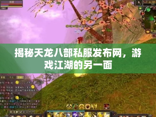 揭秘天龙八部私服发布网，游戏江湖的另一面