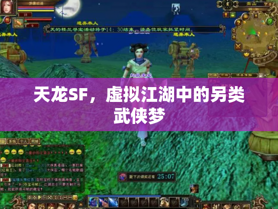 天龙SF，虚拟江湖中的另类武侠梦