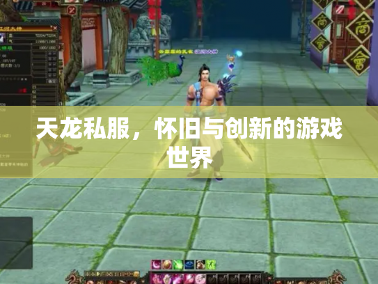 天龙私服，怀旧与创新的游戏世界