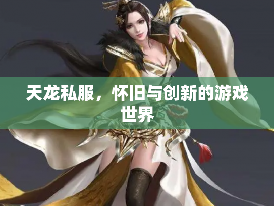 天龙私服，怀旧与创新的游戏世界