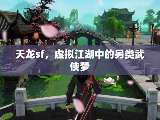 天龙sf，虚拟江湖中的另类武侠梦