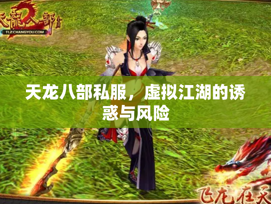 天龙八部私服，虚拟江湖的诱惑与风险