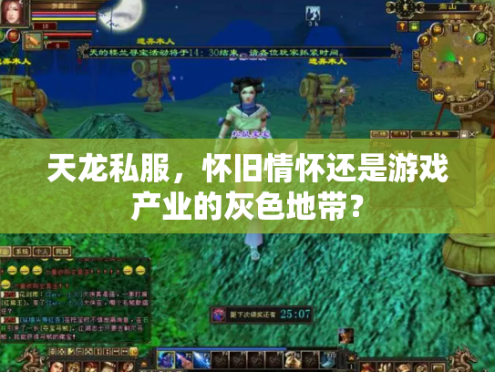 天龙私服，怀旧情怀还是游戏产业的灰色地带？