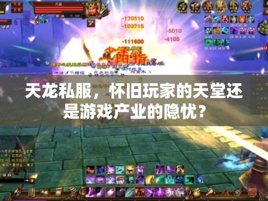 天龙私服，怀旧玩家的天堂还是游戏产业的隐忧？