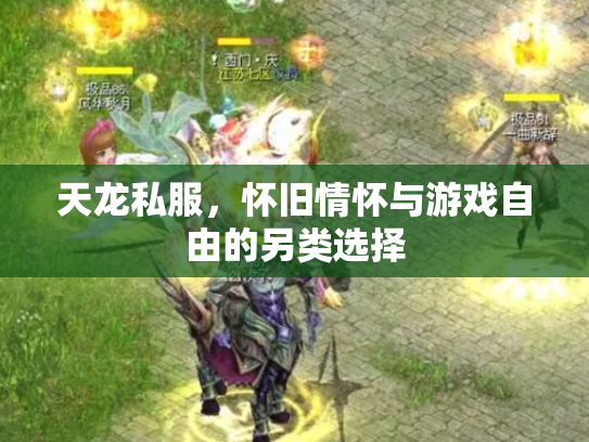 天龙私服，怀旧情怀与游戏自由的另类选择