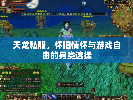 天龙私服，怀旧情怀与游戏自由的另类选择