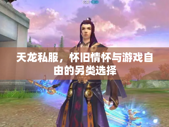 天龙私服，怀旧情怀与游戏自由的另类选择