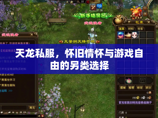 天龙私服，怀旧情怀与游戏自由的另类选择