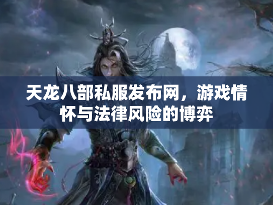 天龙八部私服发布网，游戏情怀与法律风险的博弈