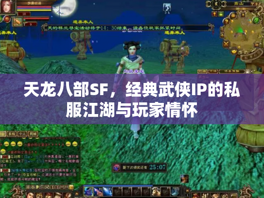 天龙八部SF，经典武侠IP的私服江湖与玩家情怀