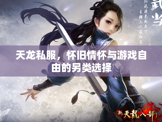 天龙私服，怀旧情怀与游戏自由的另类选择