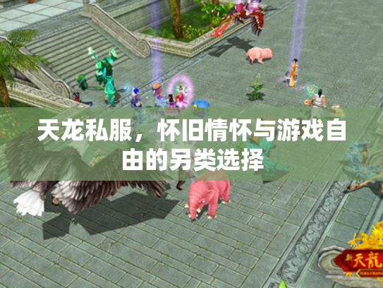 天龙私服，怀旧情怀与游戏自由的另类选择