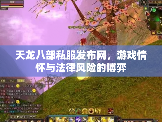 天龙八部私服发布网，游戏情怀与法律风险的博弈