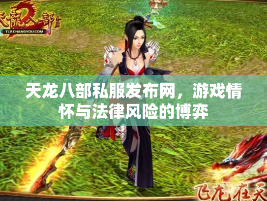 天龙八部私服发布网，游戏情怀与法律风险的博弈