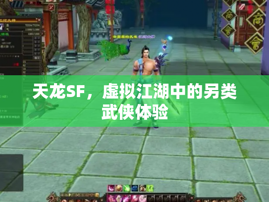 天龙SF，虚拟江湖中的另类武侠体验