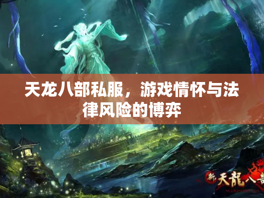 天龙八部私服，游戏情怀与法律风险的博弈