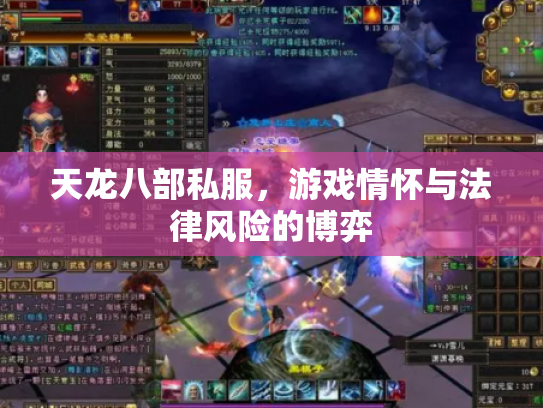 天龙八部私服，游戏情怀与法律风险的博弈