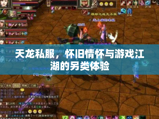 天龙私服，怀旧情怀与游戏江湖的另类体验