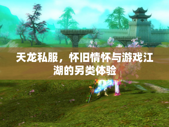 天龙私服，怀旧情怀与游戏江湖的另类体验