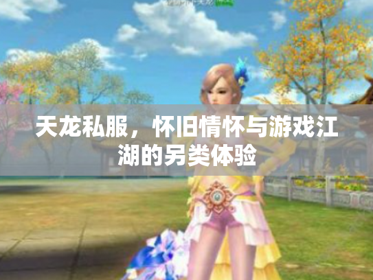天龙私服，怀旧情怀与游戏江湖的另类体验