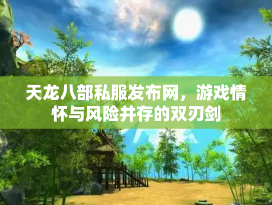 天龙八部私服发布网，游戏情怀与风险并存的双刃剑