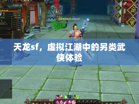 天龙sf，虚拟江湖中的另类武侠体验