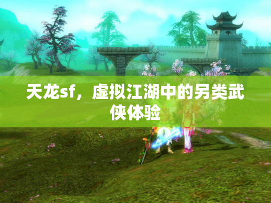 天龙sf，虚拟江湖中的另类武侠体验