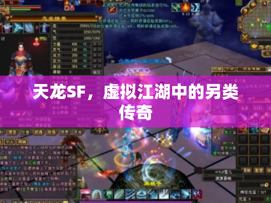 天龙SF，虚拟江湖中的另类传奇
