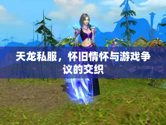 天龙私服，怀旧情怀与游戏争议的交织