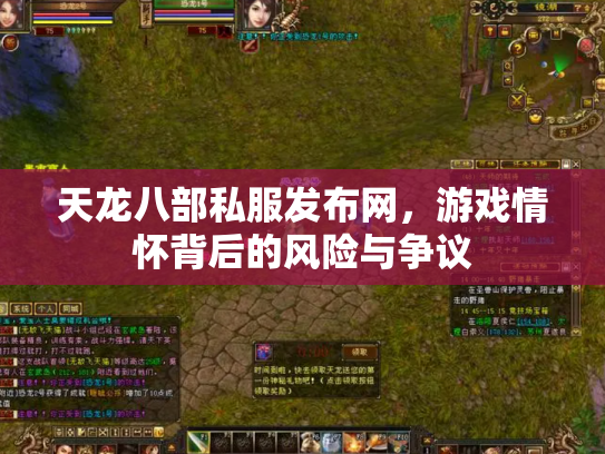 天龙八部私服发布网，游戏情怀背后的风险与争议