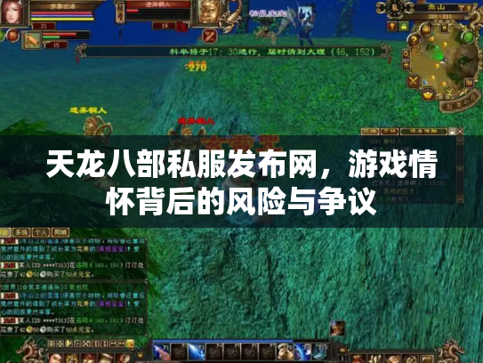 天龙八部私服发布网，游戏情怀背后的风险与争议