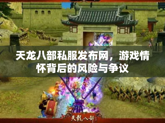 天龙八部私服发布网，游戏情怀背后的风险与争议