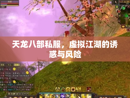 天龙八部私服，虚拟江湖的诱惑与风险