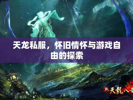 天龙私服，怀旧情怀与游戏自由的探索