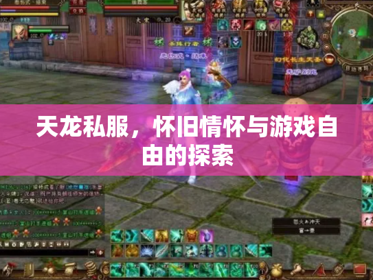 天龙私服，怀旧情怀与游戏自由的探索