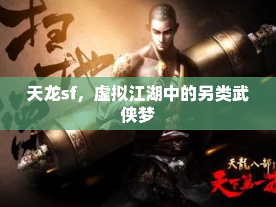 天龙sf，虚拟江湖中的另类武侠梦