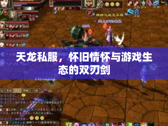 天龙私服，怀旧情怀与游戏生态的双刃剑