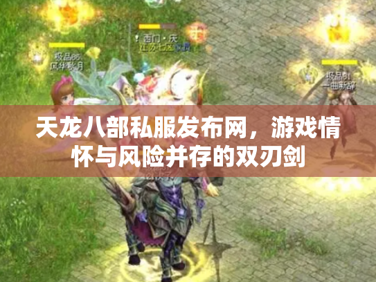 天龙八部私服发布网，游戏情怀与风险并存的双刃剑